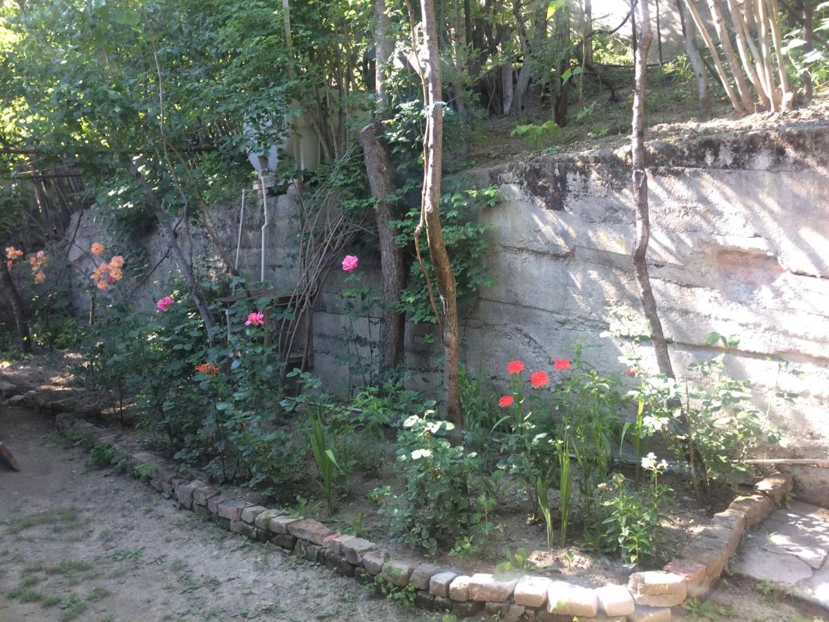 Guesthouse Malkhazi Borjomi Exteriör bild