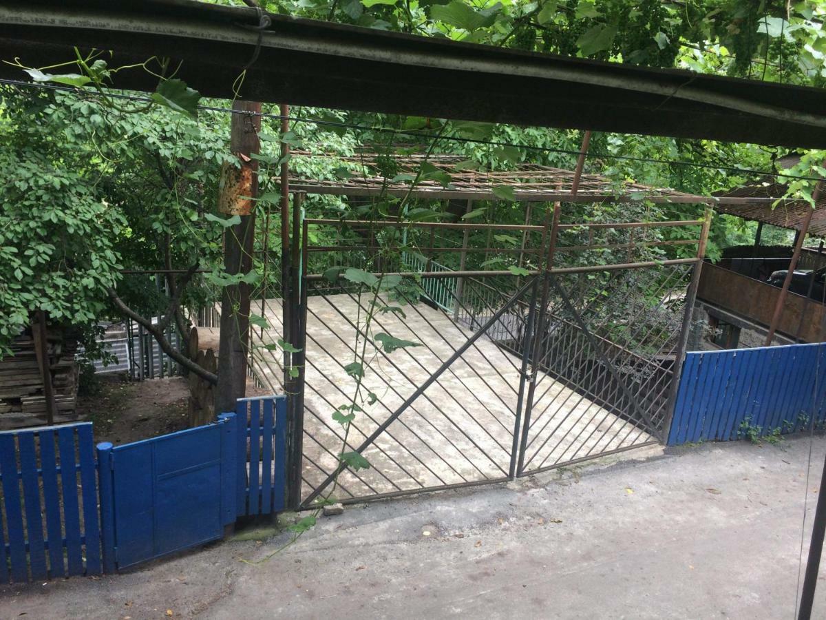 Guesthouse Malkhazi Borjomi Exteriör bild